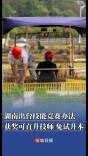 湖南出台技能竞赛办法，获奖可直升技师、免试升本