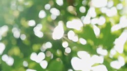 “针”功夫 超正超神奇|湖南中医药大学宝藏课堂
