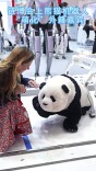 链博会上熊猫机器人“萌化”外籍嘉宾