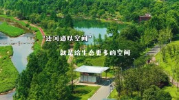 视频丨“还河道以空间”就是给生态更多的空间