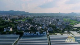 总书记走进百姓家｜让老区人民过上幸福生活