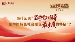 习近平党建思想系列解读一