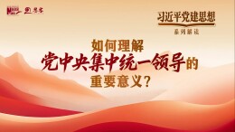 习近平党建思想系列解读二