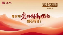 习近平党建思想系列解读六