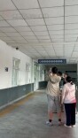 摄像头燕子窝喜提五胞胎，一窝雏燕天天等干饭