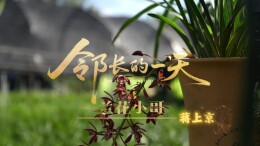 邻长的一天——兰花小哥蒋上京