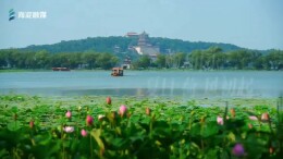 颐和园，夏日“荷”风初起
