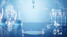 科技“湘”力量丨用好每一克微量元素