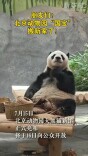北京动物园“国宝”搬新家啦