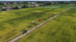 沅江市 | 科技赋能“双抢”，24.85万亩早稻已归仓，20.54万亩晚稻已移栽