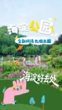 自然、烟火与人文碰撞！北京海淀公园全新玩法扎堆出圈——