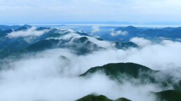 视频｜鲜亮“石化红”遇见清甜“炎陵黄”  记中石化湖南石油分公司11载产业助农路