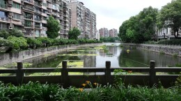 向阳湖焕新：把生态答卷写进群众家门口