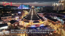 人山人海！怀化榆树湾夜经济火爆
