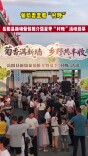 藤蔓上的丰收——岳阳县新墙镇清水村葡萄产业侧记