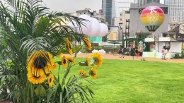 长沙五一商圈新添5000平方米都市绿洲