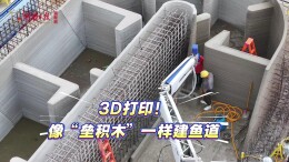 大坝鱼道，打印出来！