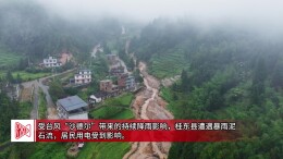 徒步7公里抢修，电力人守护桂东深山光明