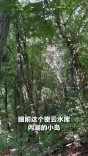 探访北京密云水库“神秘鸟岛”