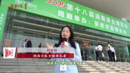 茶博会Vlog丨熬夜人参茶、邮票茶、萃茶机……茶友们的福利到了，周末快来打卡
