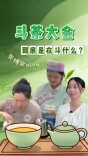 茶博会Vlog丨斗茶大会，到底是在斗什么？