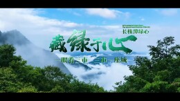 视频|藏绿于心