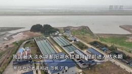 我国最大淡水湖鄱阳湖水位骤降 提前进入枯水期