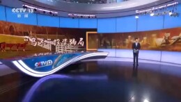 “马术项目高收益”是陷阱，北京500多人被骗1.6亿，其中90%是老人