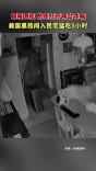 美国黑熊闯入民宅 翻箱倒柜猛吃5小时