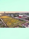 大通湖区｜荒地变良田，渔景变“钱景”！河坝镇沙堡洲村以实干兴村