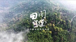 湖南省委组织部“田间课堂”走进湘乡市龙洞镇