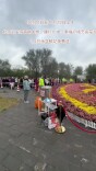 门头沟万余盆节庆鲜花免费认领，连领三天
