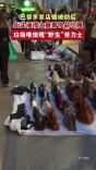巴黎多家店铺被劫后，街头涌现大量奢侈品小摊