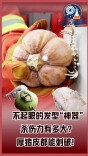 女孩子常用的鲨鱼夹，杀伤力有多强？厚猪皮都能刺破！