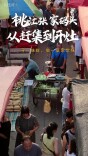 懂湘寻鲜｜会吃更会做！庆哥做甲鱼，从选材到冷水下锅，全是美味的秘诀