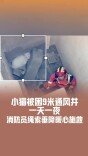 小猫被困通风井一天一夜，消防员绳索垂降施救