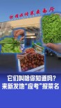 北京新发地新开精品特菜交易厅，这些菜名新鲜，一起去认认！