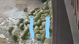 宁乡一水果店玻璃突然破裂 上百个西瓜集体“出逃”