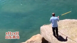 当代“闰土”来了！ 大爷站礁石上拿钢叉捕鱼一击命中