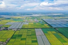 又帅又有内涵，这就是屈原