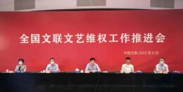 全国文联文艺维权工作推进会召开 湖南省文联作经验交流发言