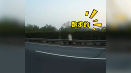 女子在高速公路快车道跑步 民警巡逻发现后果断带离