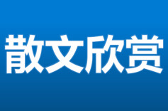 散文丨卢圣锋：外婆村前一条河