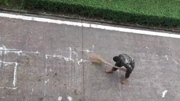 新兵扫地画风突变 网友：招式大开大合 行云流水！