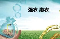 理论智库丨以减贫惠农工程加固新时代中非合作关系