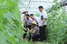 新金融绘就秀美湖南新画卷 ——农行湖南省分行服务地方经济纪实