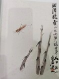 晓霞山竹笋味甘芳