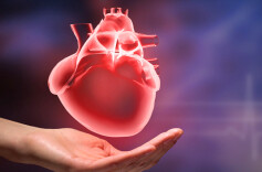 护心运动全人群指南：“三高”和心脏病患者应坚持科学运动