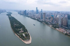 理论学习丨如何增进文化自信自强、铸就社会主义文化新辉煌？专家学者建言献策