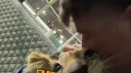 两英格兰球迷卡塔尔街头偶遇酋长儿子被邀回家，坐豪车逛“宫殿”撸狮子